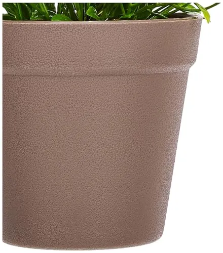 amazon basics Artificial Plants | Realistic Details | Durable Plastic | No Maintenance | Suitable for Various Needs | Ideal for Home and Office Decor | Dimensions: 10 cm X 19 cm (Pack of 4)