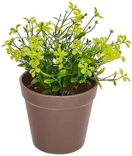 amazon basics Artificial Plants | Realistic Details | Durable Plastic | No Maintenance | Suitable for Various Needs | Ideal for Home and Office Decor | Dimensions: 10 cm X 19 cm (Pack of 4)