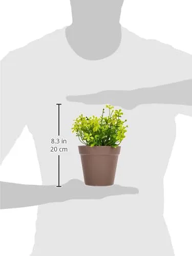 amazon basics Artificial Plants | Realistic Details | Durable Plastic | No Maintenance | Suitable for Various Needs | Ideal for Home and Office Decor | Dimensions: 10 cm X 19 cm (Pack of 4)