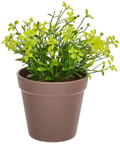 amazon basics Artificial Plants | Realistic Details | Durable Plastic | No Maintenance | Suitable for Various Needs | Ideal for Home and Office Decor | Dimensions: 10 cm X 19 cm (Pack of 4)