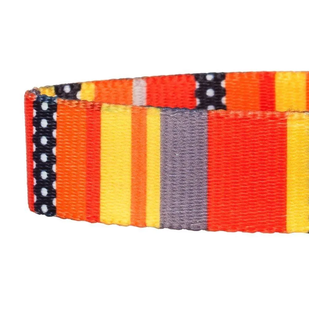 Nautical Flag Dog Collar, Summer Vcation Beach Sea Lover Collar