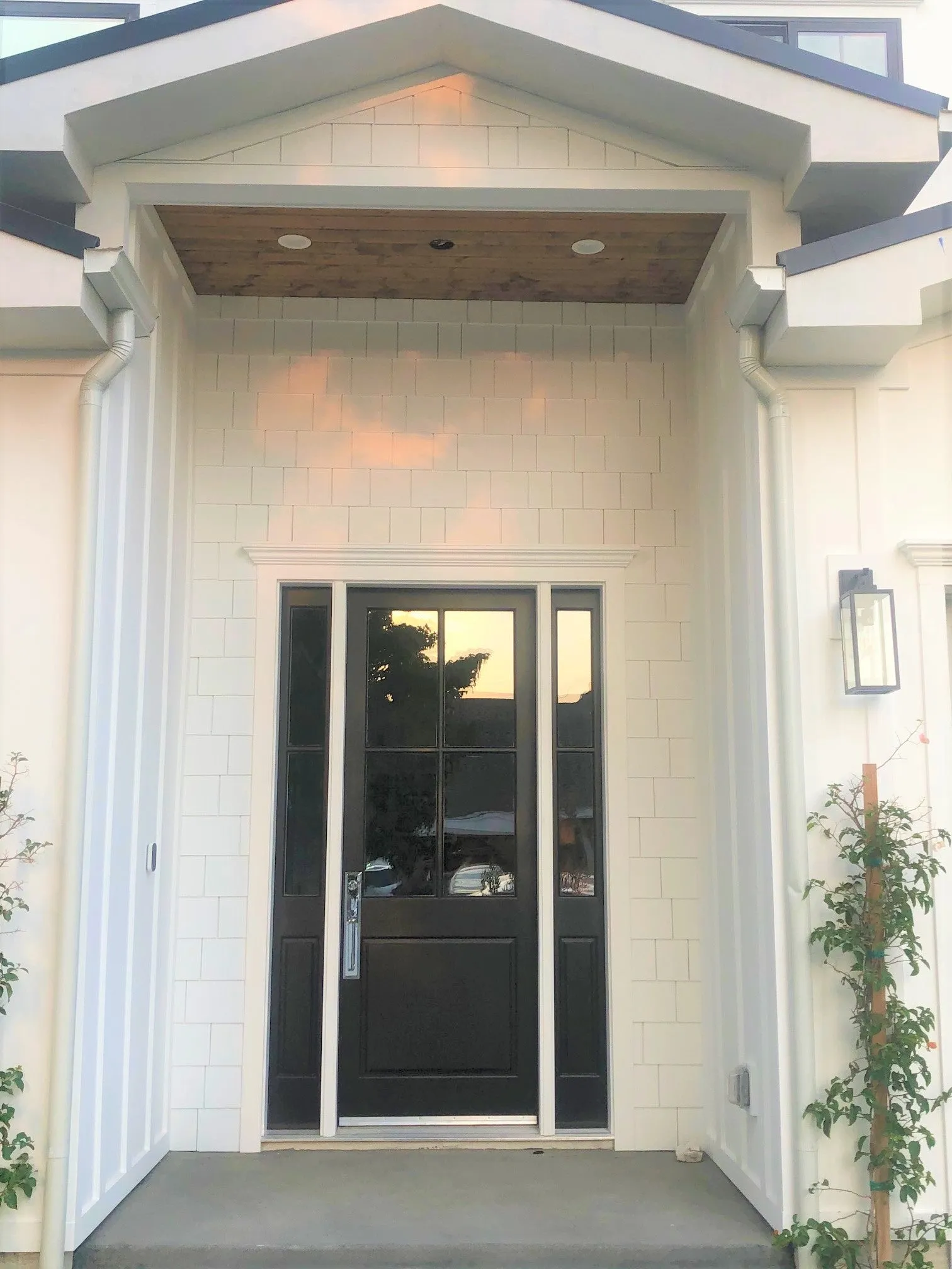 Quatro - Exterior 4-Lite Mahogany Wood Entry Solid Front Door with Clear Glass