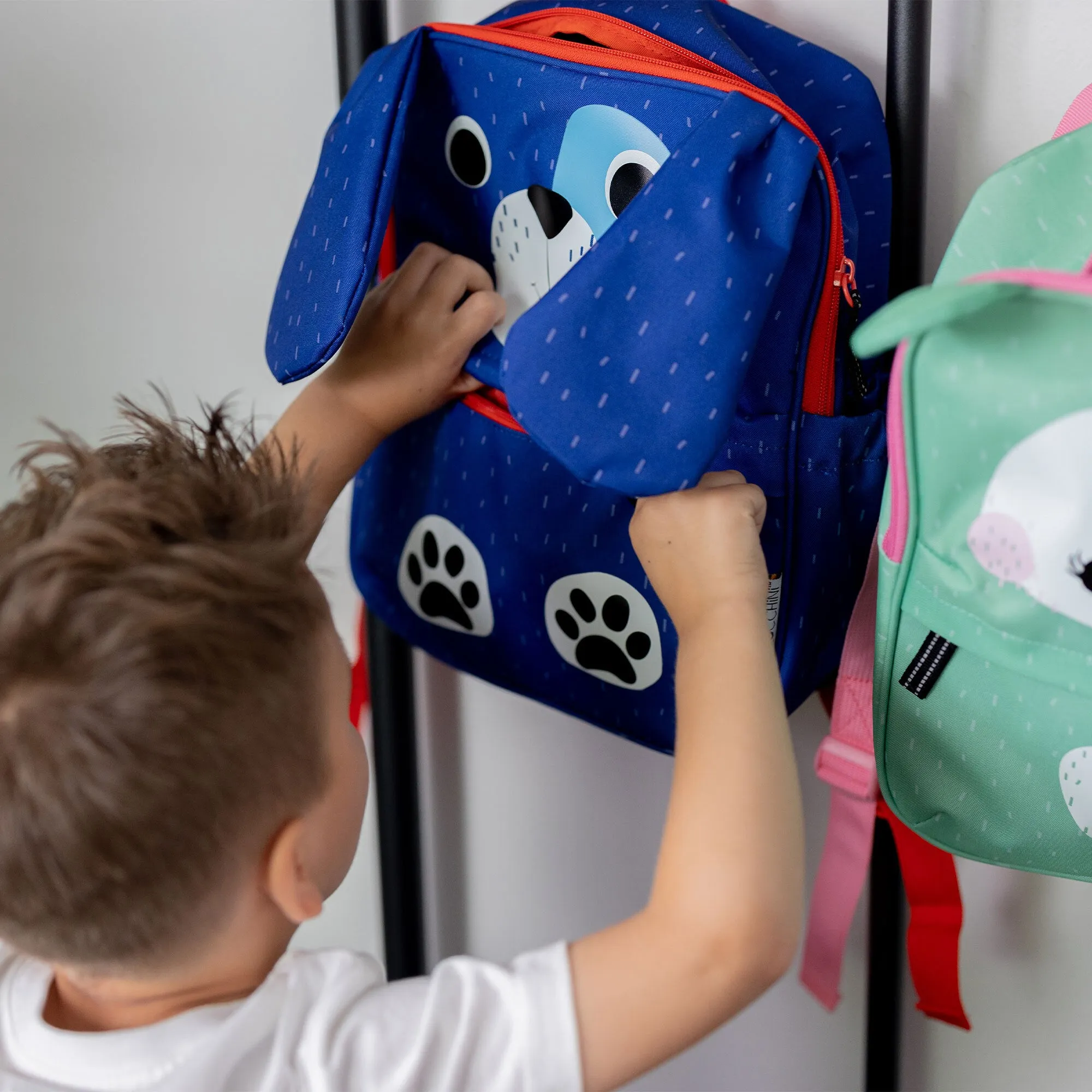 ZOOCCHINI - Toddler-Kids Everyday Square 3Y 